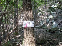 禅師山