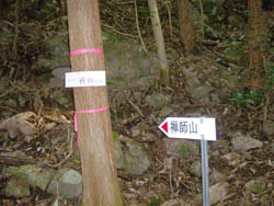 禅師山