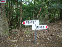 禅師山