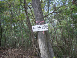 禅師山