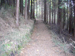 宮山