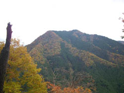 宮山