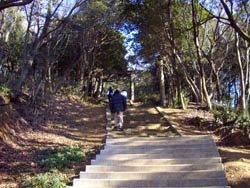 案内板