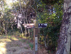 雌岡山・雄岡山