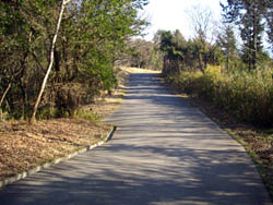 雌岡山・雄岡山