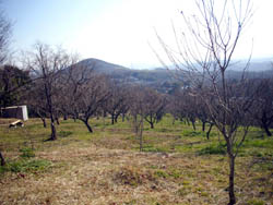 雌岡山・雄岡山