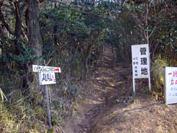 雌岡山・雄岡山