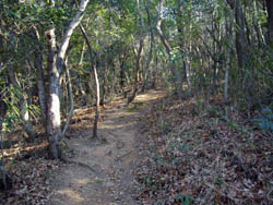 雌岡山・雄岡山
