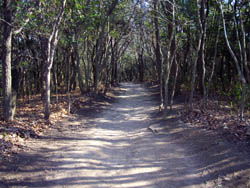 雌岡山・雄岡山