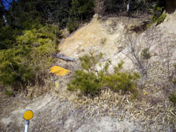 飯森山