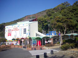横尾山