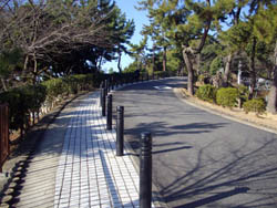 横尾山