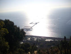 横尾山
