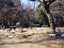 横尾山