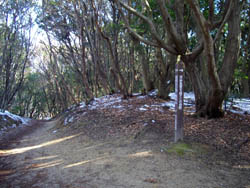 横尾山