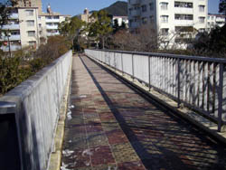 横尾山