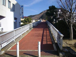 横尾山