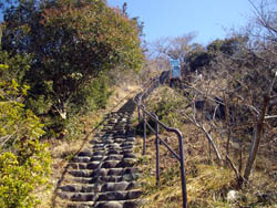 横尾山