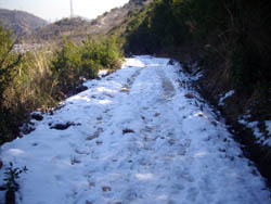 横尾山