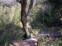 菊水山