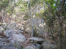 菊水山