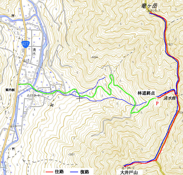竜ヶ岳