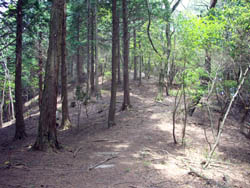 竜ヶ岳