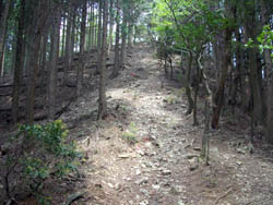 竜ヶ岳
