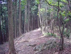 竜ヶ岳