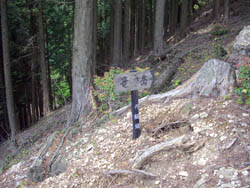竜ヶ岳