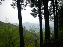 竜ヶ岳