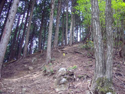竜ヶ岳