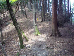 竜ヶ岳