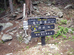 竜ヶ岳