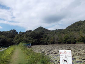 紅山