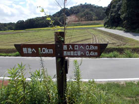 紅山