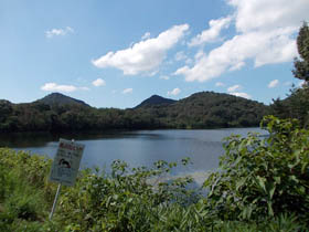 紅山
