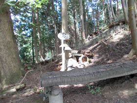 妙見山
