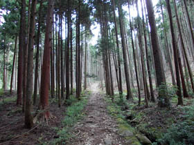 笠形山