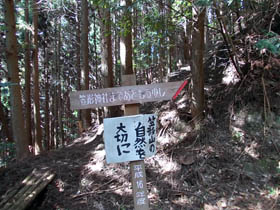 笠形山