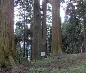 笠形山