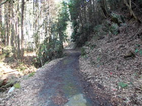 長水山