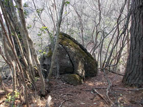 長水山
