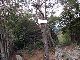 宮山