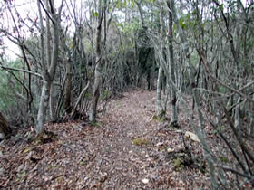 宮山