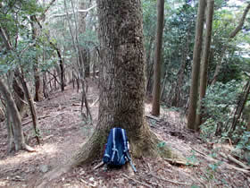 宮山