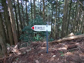 宮山