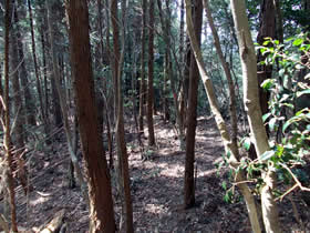 宮山