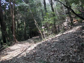 宮山