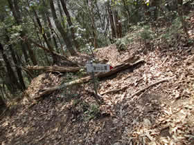 宮山